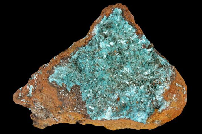 Fibrous Aurichalcite Crystal Cluster - Mexico #119139